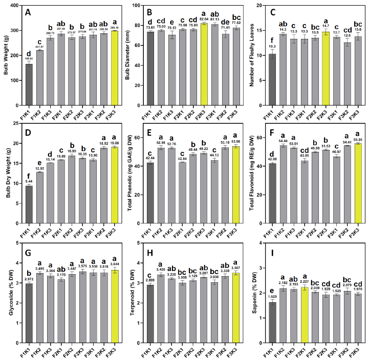 Chelated iron and potassium sulfate synergistically improve bulb yield and levels of bioactive phytochemicals in onion grown on alkaline soils