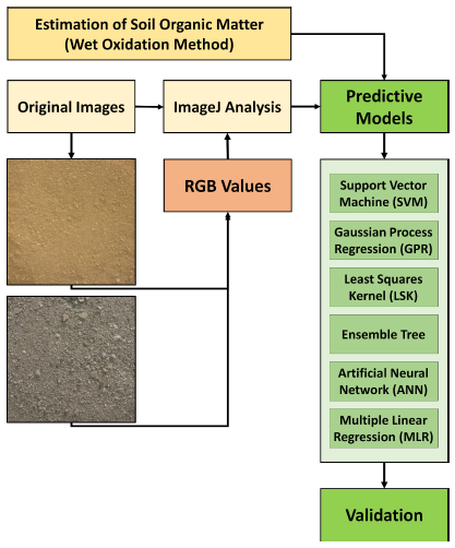 Machine learning-based estimation of soil organic matter using RGB values