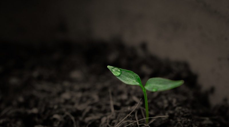 Distribution of soil organic matter in the coastal region of Syria: a case study