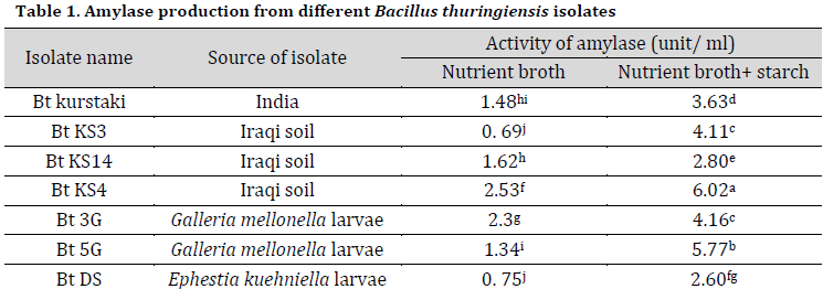 The production of α-amylase enzyme from Iraqi isolate of Bacillus thuringiensis using agricultural-based media