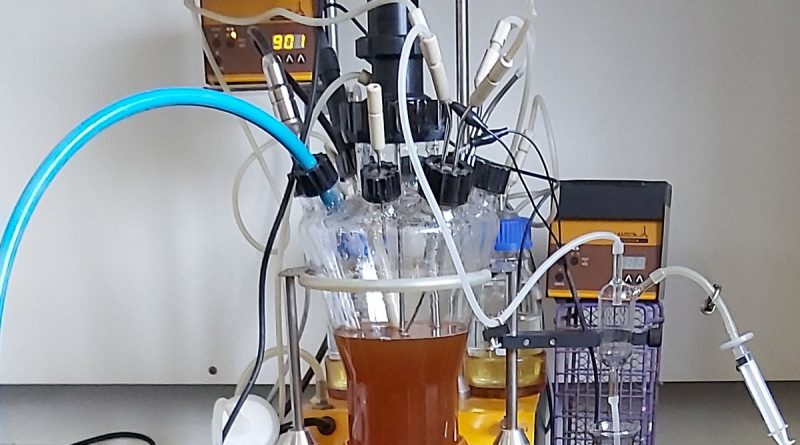 Bioconversion of white sorghum biomass using MixAlco fermentation process