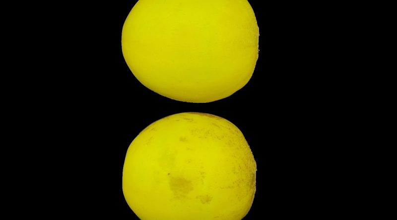 Developing a postharvest color changes identification system of melon rind using image processing