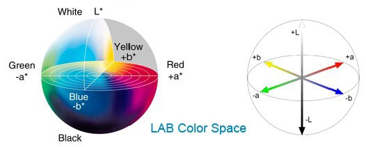 Developing a postharvest color changes identification system of melon rind using image processing