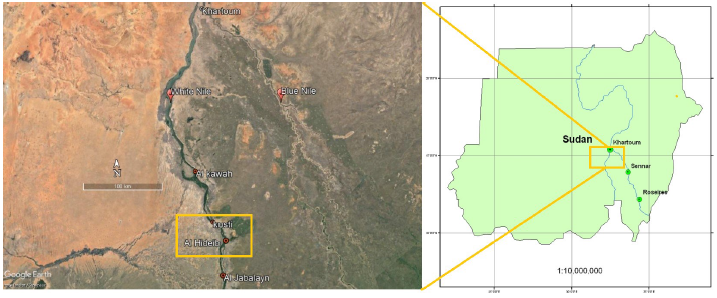 A new record for the invasive aquatic fern Azolla filiculoides Lam. in the White Nile, Sudan