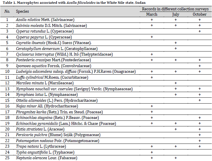 A new record for the invasive aquatic fern Azolla filiculoides Lam. in the White Nile, Sudan