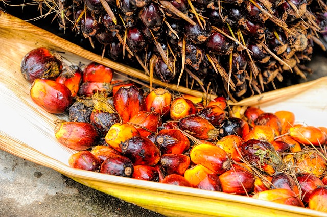 Microbiological, physical, and chemical assessment of palm oil under ginger extracts and sterilization treatment