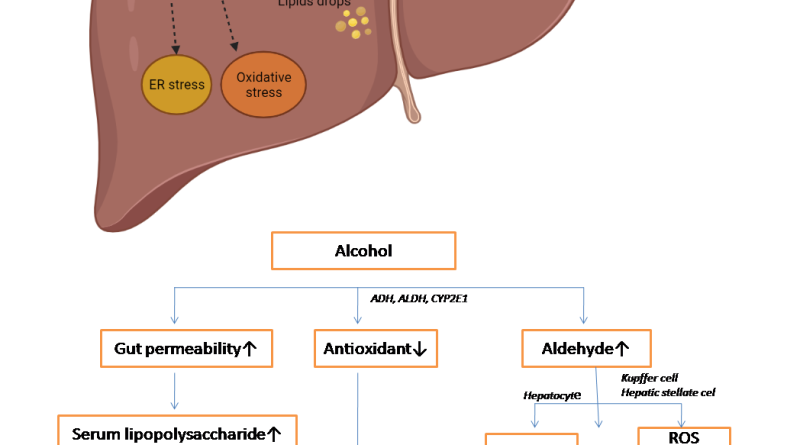 Molecular developments in cell models of fatty liver disease