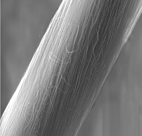 Effects of structure, purity, and alignment on the heat conduction properties of a nanostructured material comprising carbon nanotubes