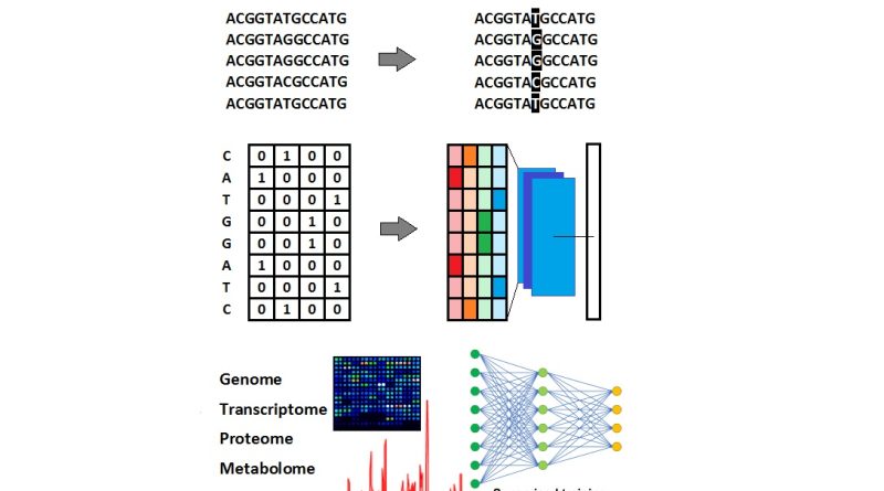 Deep learning in plant science: A mini-review