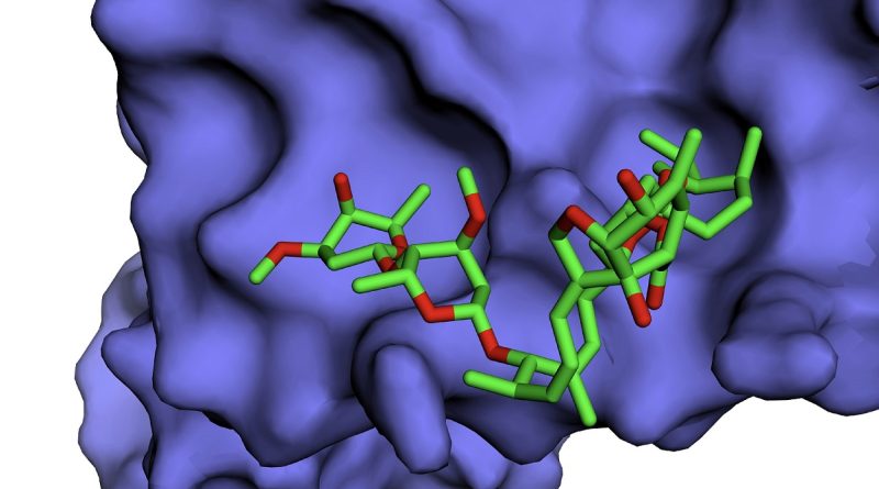 In silico binding site detection of ivermectin with influenza A virus NS1 protein