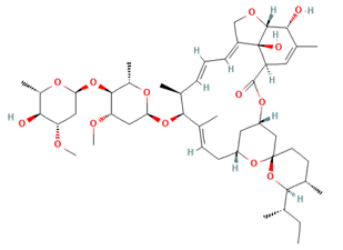 In silico binding site detection of ivermectin with influenza A virus NS1 protein