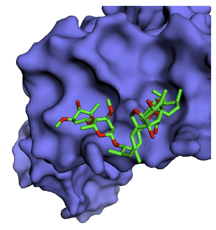 In silico binding site detection of ivermectin with influenza A virus NS1 protein