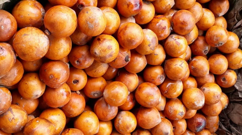 The biochemical attributes of African star apple fruits are influenced by salicylic acid treatment during ambient storage
