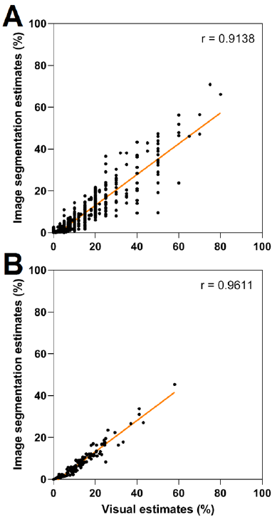 Evaluating image segmentation as a valid method to estimate walnut anthracnose and blight severity