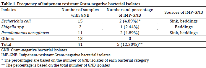 Screening of hospital fomites and hands of healthcare workers for Metallo-β-Lactamase producing Gram-negative bacteria in Mubi general hospital Nigeria