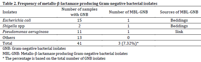 Screening of hospital fomites and hands of healthcare workers for Metallo-β-Lactamase producing Gram-negative bacteria in Mubi general hospital Nigeria