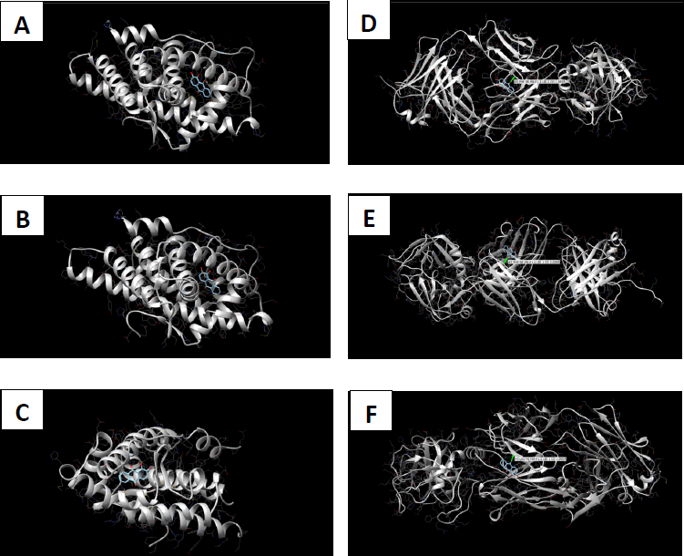 In silico pharmacokinetic analysis of Morinda citrifolia phytochemicals and their potential antagonistic effect on prostatic carcinoma proteins