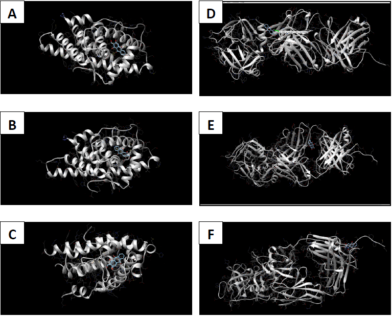 In silico pharmacokinetic analysis of Morinda citrifolia phytochemicals and their potential antagonistic effect on prostatic carcinoma proteins