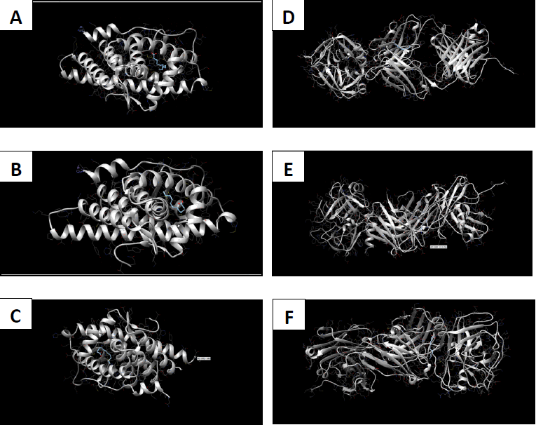 In silico pharmacokinetic analysis of Morinda citrifolia phytochemicals and their potential antagonistic effect on prostatic carcinoma proteins