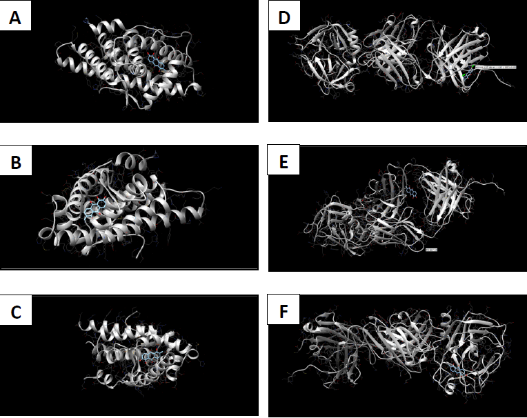 In silico pharmacokinetic analysis of Morinda citrifolia phytochemicals and their potential antagonistic effect on prostatic carcinoma proteins