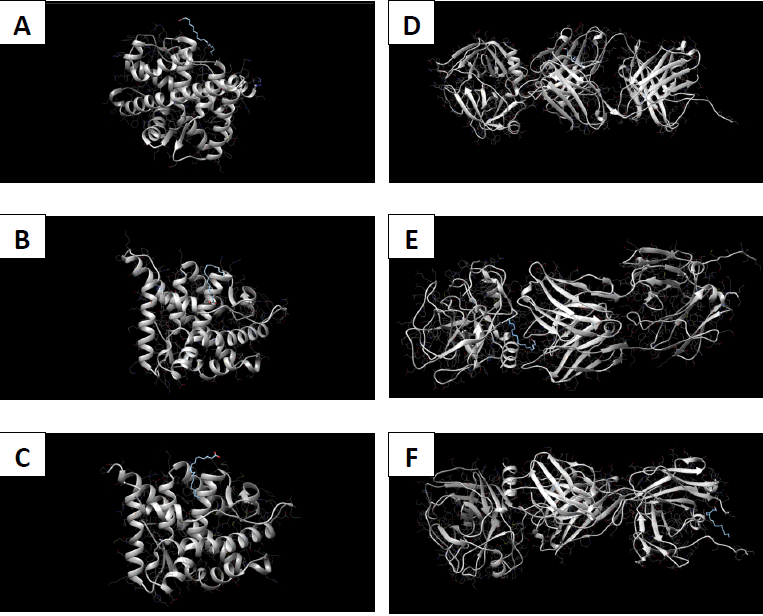 In silico pharmacokinetic analysis of Morinda citrifolia phytochemicals and their potential antagonistic effect on prostatic carcinoma proteins