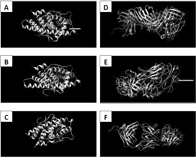 In silico pharmacokinetic analysis of Morinda citrifolia phytochemicals and their potential antagonistic effect on prostatic carcinoma proteins