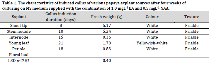 Explant type influences callus induction and shoots organogenesis in papaya under in vitro conditions
