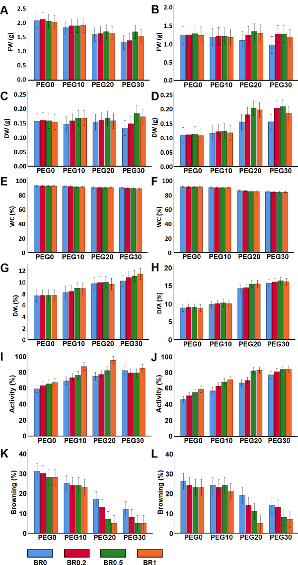 Physical characteristics of in vitro date palm cultures under the influence of polyethylene glycol induced water stress and brassinosteroid treatment