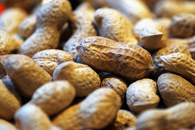 Theoretical thermal efficiency of conventional steam reforming of groundnut shell