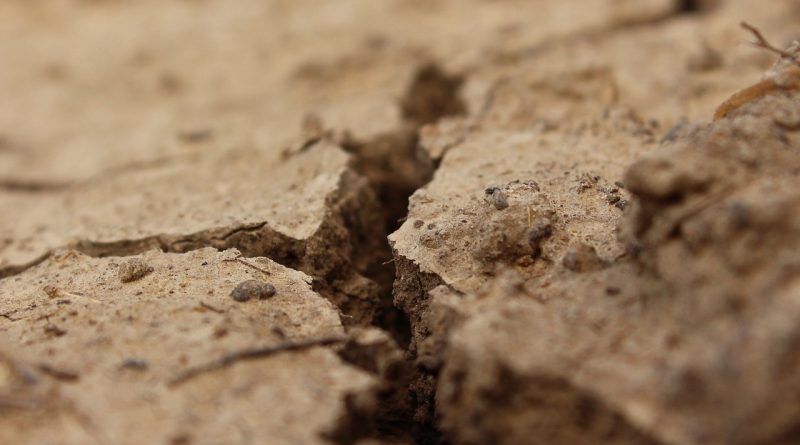 Enhancing phosphorus availability in calcareous soil through the incorporation of organic acids