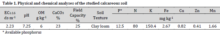 Enhancing phosphorus availability in calcareous soil through the incorporation of organic acids