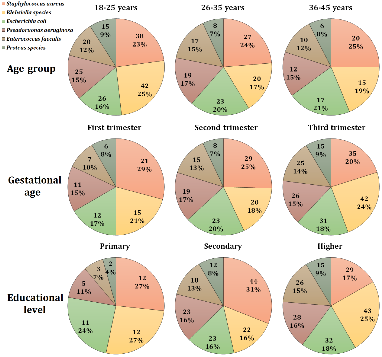 The prevalence of asymptomatic bacteriuria in pregnant women in Akure, Ondo State, Nigeria