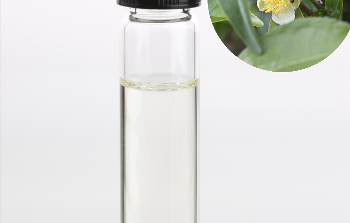 Unveiling the impact of tea (Camellia sinensis) seed oil on kidney function indices and antioxidant defense system in male albino rats