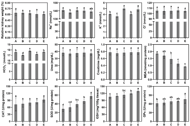 Unveiling the impact of tea (Camellia sinensis) seed oil on kidney function indices and antioxidant defense system in male albino rats