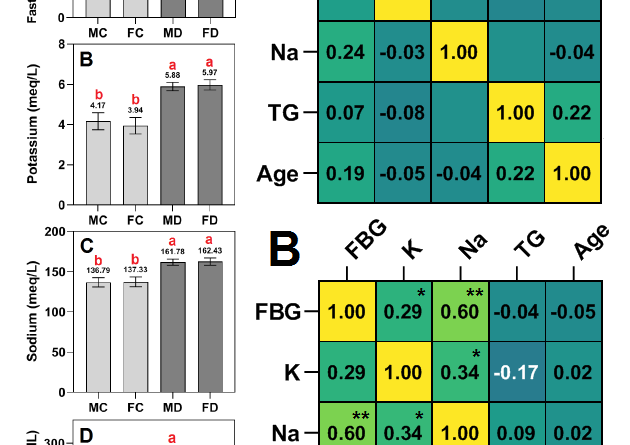 The interplay of blood electrolytes and triglycerides in type 2 diabetes mellitus