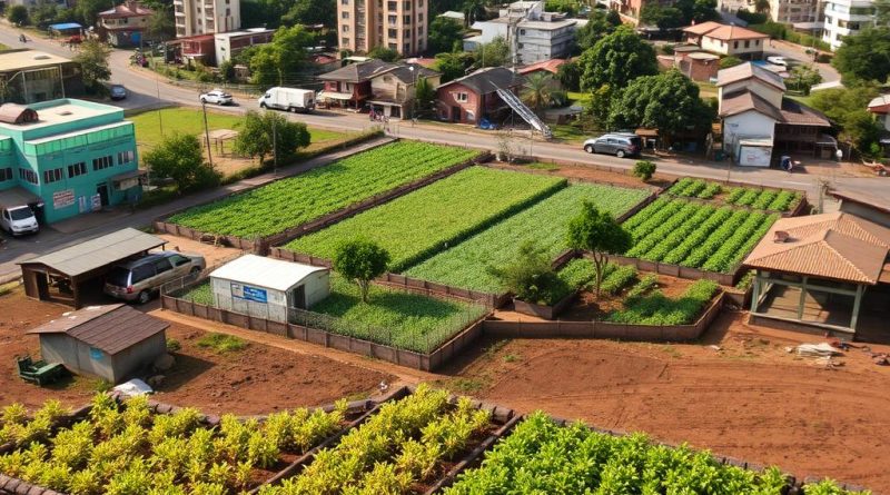 Urban agriculture land suitability assessment using AHP and geospatial analysis in Gondar Zuria, Ethiopia