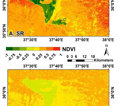 Evaluating the impact of digital number to surface reflectance conversion on the accuracy of NDVI and NDWI: A case study of Sabkhat Al-Jabbul, Syria