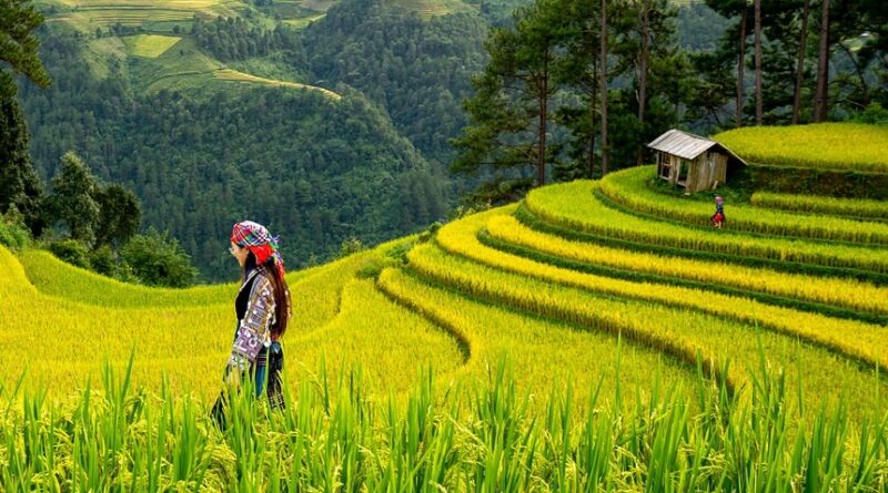 Agricultural vulnerability to cyclones in coastal West Bengal
