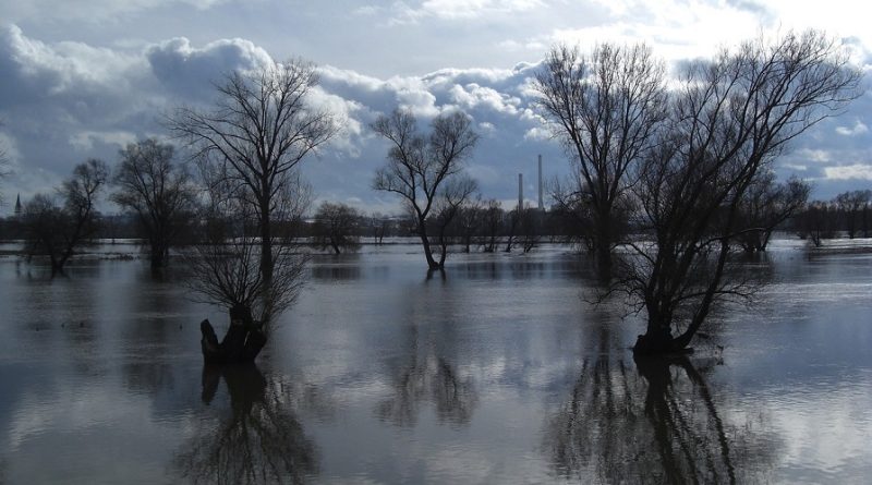 Morphometric-based flood hazard mapping of Al-Ghamqa River Basin using AHP and GIS