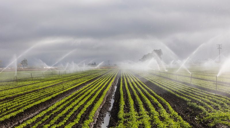Assessing water-carbon tradeoffs of smart irrigation and non-conventional water sources using sensor measurements and water use information