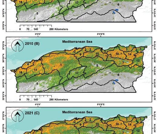 Land cover transformations in northern Algeria from 2001 to 2021: A MODIS-based spatiotemporal analysis