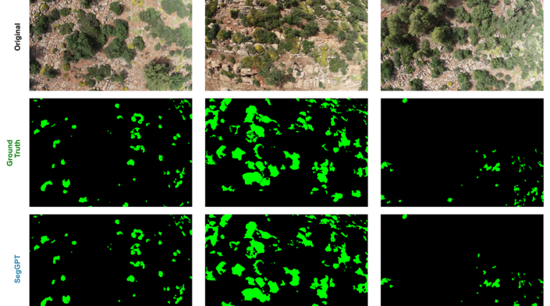 Few-shot semantic segmentation of UAV imagery for plant conservation: A systematic comparison of foundation models for Euphorbia resinifera mapping